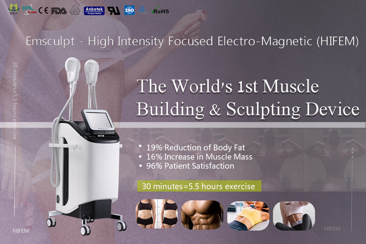 SUNWIN-professional cryolipolysis weight loss beauty equipment